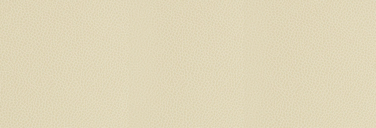Silica Leather